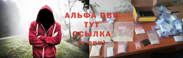молекула духа Лабытнанги