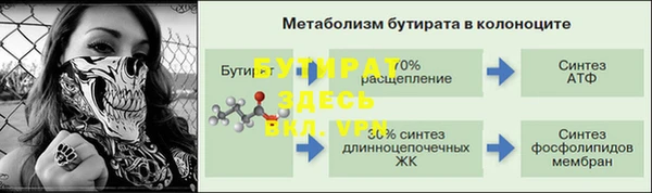 прущие грибы Кулебаки