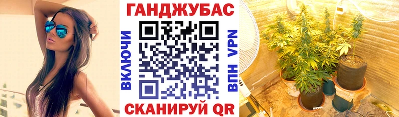 купить наркоту  Пойковский  mega   Шишки марихуана конопля 